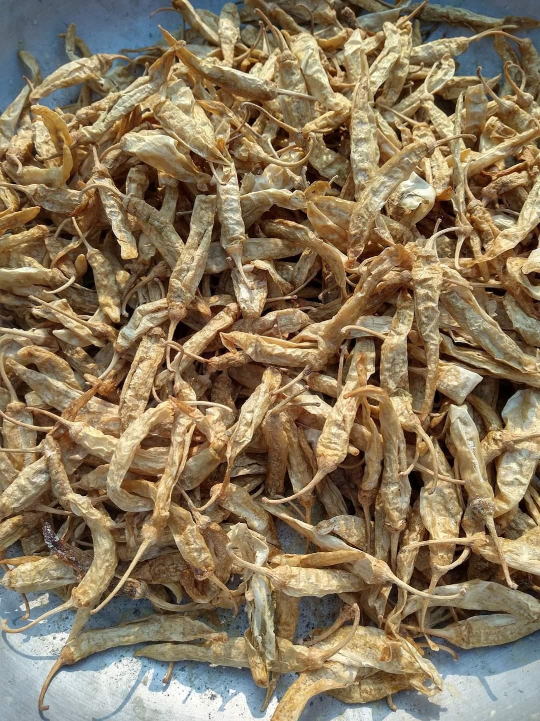 Mor Milaga మజ్జిగ మిరపకాయలు sundried salted chillies - Cover Image